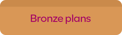 Bronze plans header