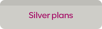 Silver plans header