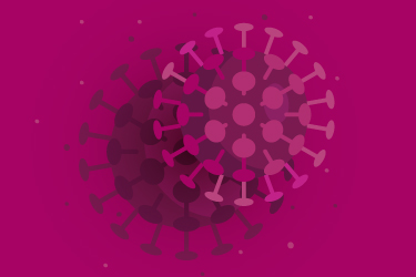 COVID-19 update and guidance: What you need to know	